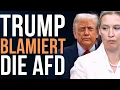 Lagu Donald Trumps Regime stürzt die AfD in eine tiefe Krise