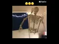 Download Lagu Skeleton fly