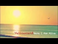 Yellowcard Here I Am Alive Lyric Video