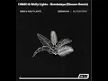DNMO & Wolfy Lights - Bombalaya (Blooom Remix)
