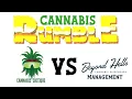 Cannabis Critique 1 Beyond Hello 0