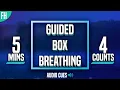 Guided Box Breathing - 5 Minute Meditation 4-4-4-4