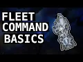 The Absolute Beginner s Guide to Basic Fleet Command Starsector v0 98