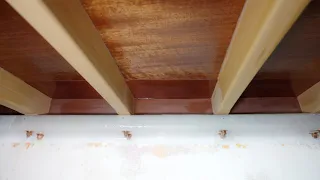 New Decks on Our 40 Year Old Boat! [S4E43]