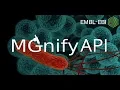 Analysing and visualising microbiome-derived datasets using the MGnify Web API