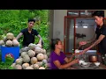 Download Lagu didn't expect this gangster guy to be so kind: taking care of the elderly, picking pumpkins.