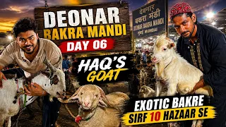 10 Hazar Se Starting | Deonar Bakra Mandi Latest Update 2026 | Exotic Bakre | Mumbai | Deonar Bakra