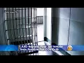 LASD Reports First County Jail Inmate Tests Positive For Coronavirus