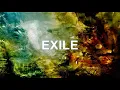 Exile by Taylor Swift ft. Bon Iver - Video with Lyrics