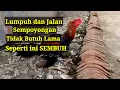 Download Lagu Cara Mengatasi ayam yang Berjalan sempoyongan atau lumpuh