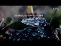 Download Lagu Relaxing Recitation of Surah Ya Sin for Healing and finding inner peace by Ismail Annuri