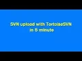 How to publish the approved WordPress plugin with TortoiseSVN Subversion