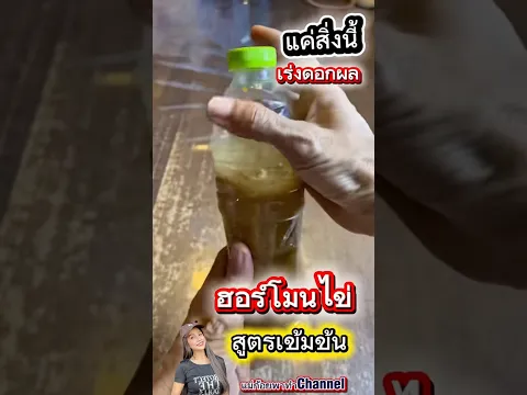 อยู่มา40ปี่พึ่งรู้ฮอร์โมนไข่สูตรเข้มข้นเร่งดอกผลพริกดกกิ่งแทบหักมะนาวดกทั้งปีพืชผักสวยไล่มดแมลง