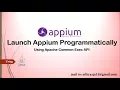 How to Launch Appium Server Programmatically in Java using Apache Common Exec