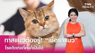 เชื้อราแมวที่พบบ่อยที่สุดคือชนิดใด และสามารถติดต่อจากแมวสู่คนได้อย่างไร