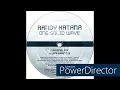 Randy Katana • One Solid Wave (Sam Sharp Mix) (2003)
