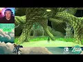 Finding a Lightroot Tree in the MASSIVE Hyrule Field Chasm