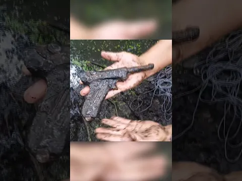Люгер 2 шт  #видео #metaldetecting #відео