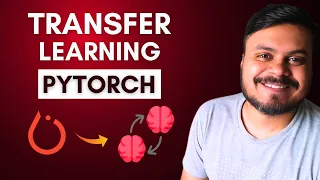 Transfer Learning using PyTorch 12 CampusX