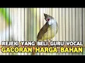 Download Lagu SIAPA YANG GAK KEPINCUT CUCAK JENGGOT JAWA GACORAN DIJUAL HARGA BAHAN DI PASAR BURUNG PRAMUKA 