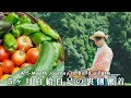Download Lagu 無農薬で作る、370㎡の畑【5ヶ月の挑戦】 #279