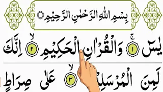 surah yaseen beautiful recitaion surah yasin full arabic hd text qari noman 