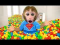 Download Lagu Scimmia Bon Bon verso la fattoria per raccogliere il mais e preparare popcorn colorati