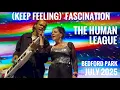 Download Lagu The Human League, (Keep Feeling) Fascination. Live @ Bedford Park July 2025. Summer Session