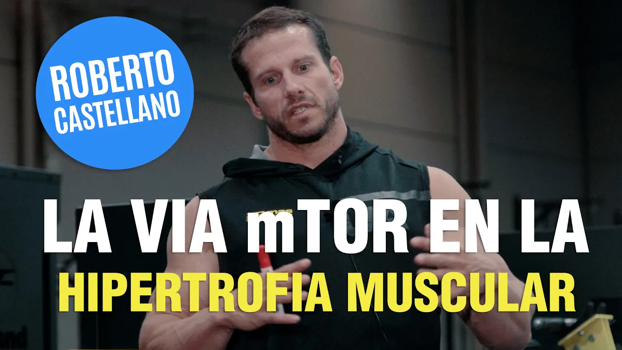🚨 LA IMPORTANCIA DE LA VÍA mTOR PARA LA HIPERTOFIA MUSCULAR 💪