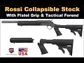 Torus Rossi 410 22 with an AR15 Stock Backpacking