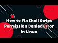 Easy Fix for Shell Script Permission Denied Error in Linux 3 Bash Scripting Tutorial
