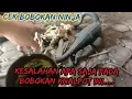 Download Lagu cek bobokan knalpot ninja