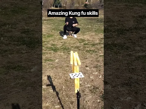 Amazing Kung Fu Skills | Kung Fu Training #youtubeshorts #shorts #martialarts #karate #kungfu