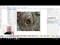 Introduction to Inkscape Part 1