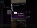 sort numbers in Linux sort command