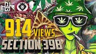 dj hari section 39b official audio remix 