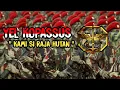 Download Lagu Yel Kopassus ( Kami Si Raja Hutan )