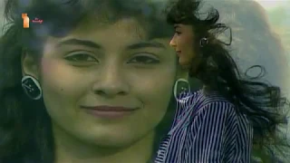 مش جريئ محمد منير      دندنها