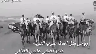 هجينيه رائعه 