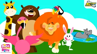 دودا دودي Dooda Doody الغابات 