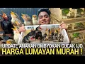 Download Lagu PASAR BURUNG ! HARGA LUMAYAN MURAH DI KIOS ANAKAN BURUNG CUCAK IJO OMBYOKAN PASAR BURUNG PRAMUKA 