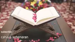 قران كريم تلاوة بصوت خاشع وعذب جميل جدا سيف وائل Saif Wael 