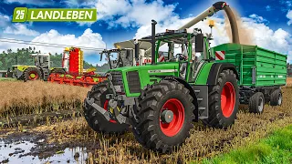 Reicht das GELD für alle Flächen? | Landleben #80 | LANDWIRTSCHAFTS SIMULATOR 25