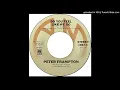 Peter Frampton - Do You Feel Like We Do (Live) [Single Edit]