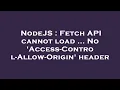 NodeJS Fetch API cannot load No Access-Control-Allow-Origin header