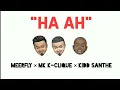 Download Lagu MeerFly-\