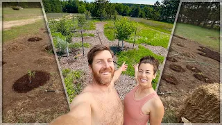 YEAR ONE of our PERMACULTURE Food Forest | Sailing Soulianis – Ep. 127