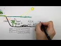 GCSE Biology - Eutrophication Explained