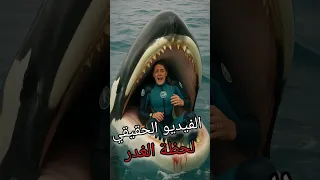 اللقطات الحقيقية للحظة إلتهام الحوت لجيسيكا جيسيكا رعب حوت الاوركا المدربة 