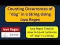 How to count the number of times the word dog appears in the input string using Java Regex